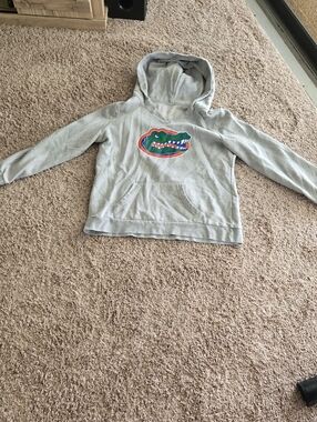 University Of Florida Gators Logo Gray  Hoodie Sweatshirt
